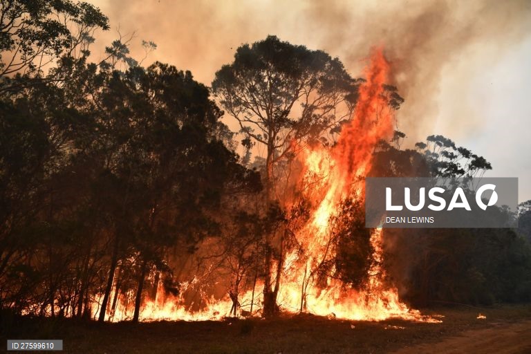 Incêndios florestais na Austrália
