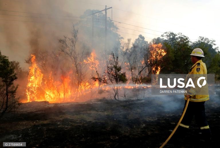Incêndios florestais na Austrália