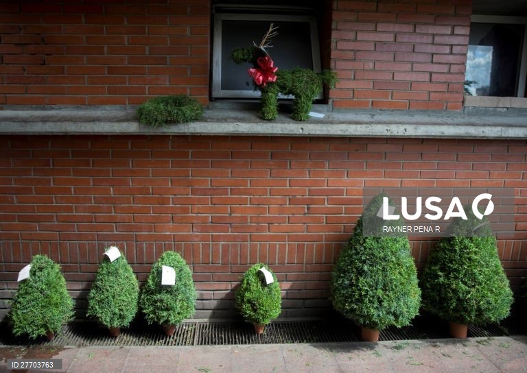 Venezuela: Preparativos de Natal