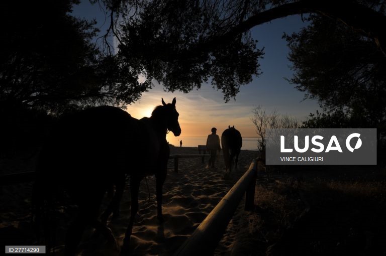 Passeio a cavalo na praia de Balnarring, Austrália