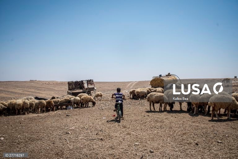 Quotidiano na vida dos Beduínos