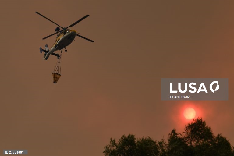 Os incêndios florestais continuam ativos na Austrália, com as temperaturas acima dos 40 graus.