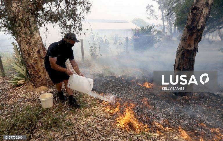 Os incêndios florestais continuam ativos na Austrália, com as temperaturas acima dos 40 graus.