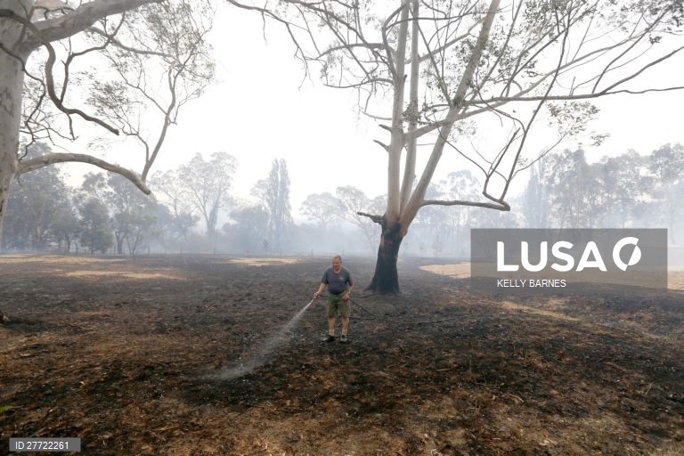 Os incêndios florestais continuam ativos na Austrália, com as temperaturas acima dos 40 graus.