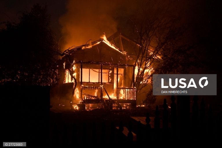 Os incêndios florestais continuam ativos na Austrália, com as temperaturas acima dos 40 graus.