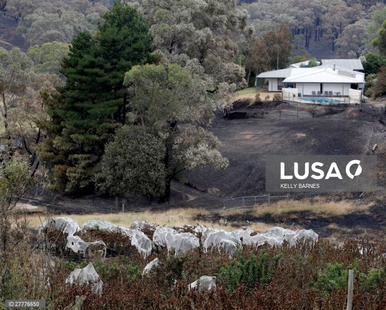 Rescaldo de um incêndio na Austrália.