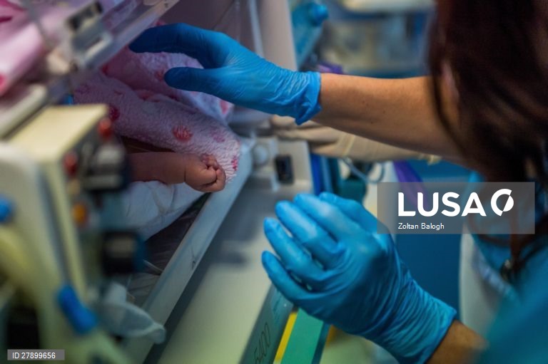 Hungria: Natal na Fundação Peter Cerny para bebés prematuros em Budapeste