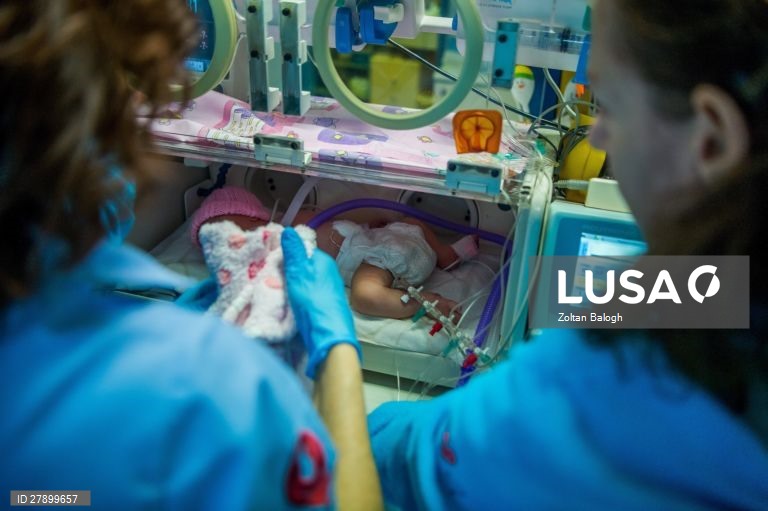 Hungria: Natal na Fundação Peter Cerny para bebés prematuros em Budapeste