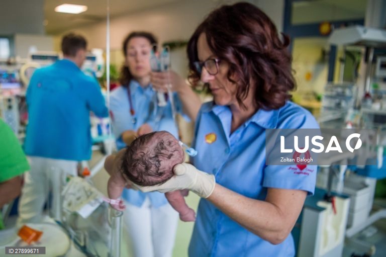 Hungria: Natal na Fundação Peter Cerny para bebés prematuros em Budapeste