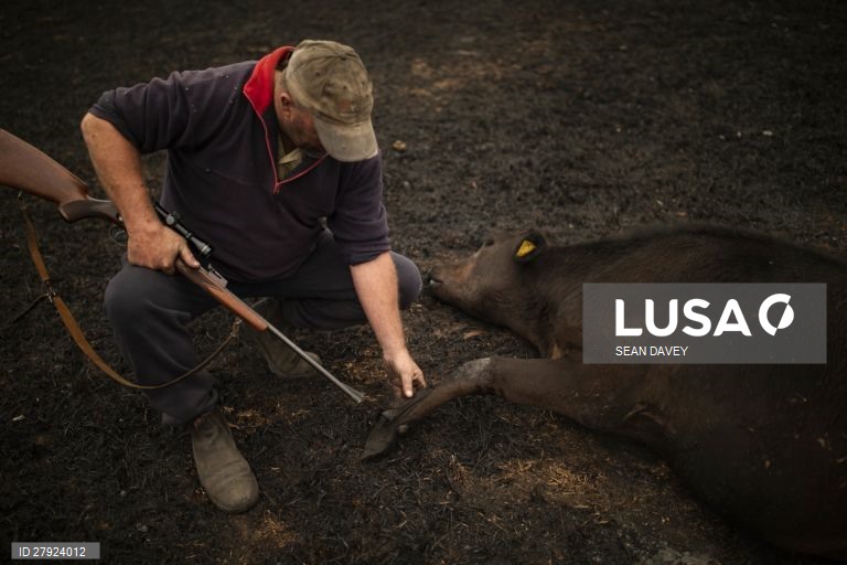 Incêndios florestais na Austrália.