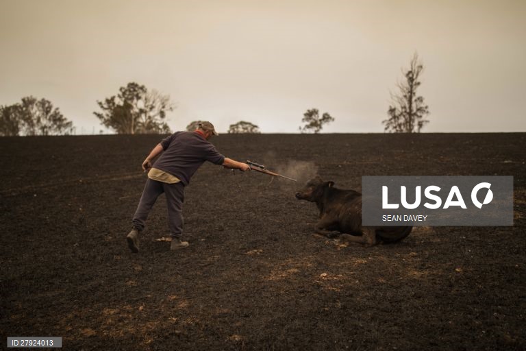 Incêndios florestais na Austrália.