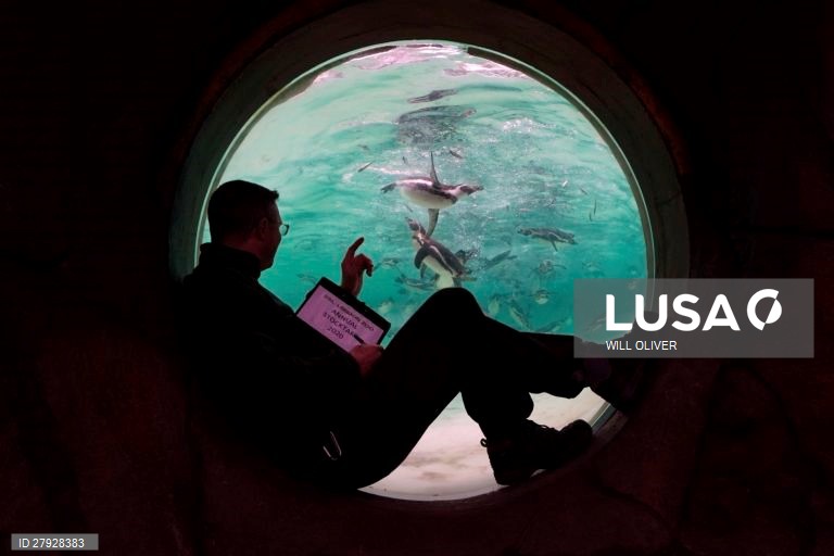 Balanço anual de animais no zoológico de Londres.