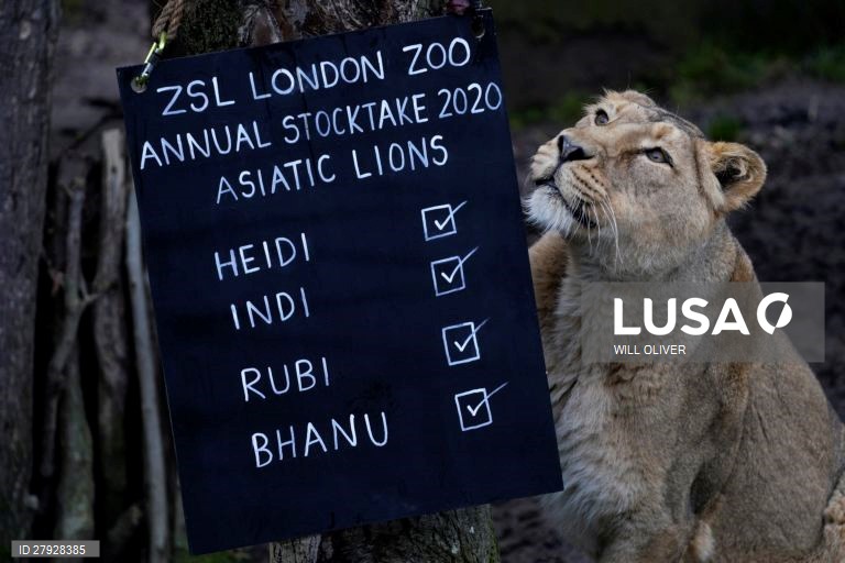 Balanço anual de animais no zoológico de Londres.
