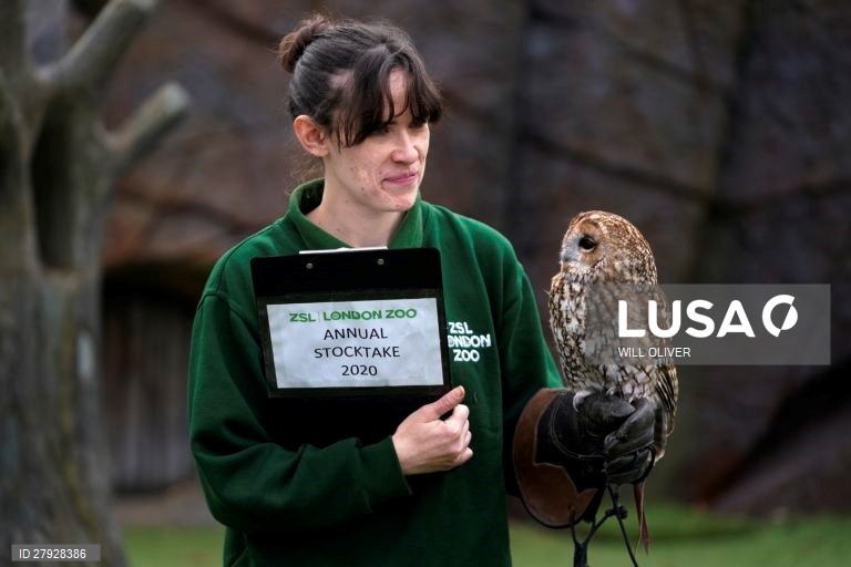 Balanço anual de animais no zoológico de Londres.