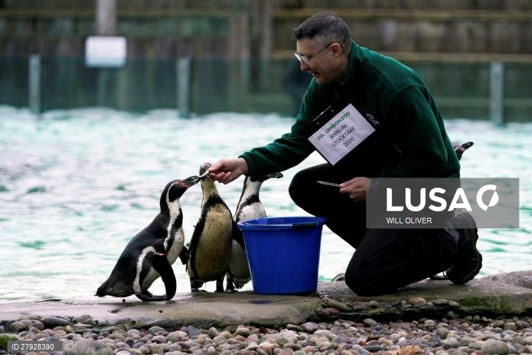 Balanço anual de animais no zoológico de Londres.