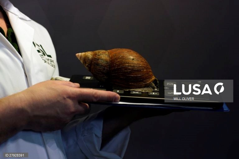 Balanço anual de animais no zoológico de Londres.