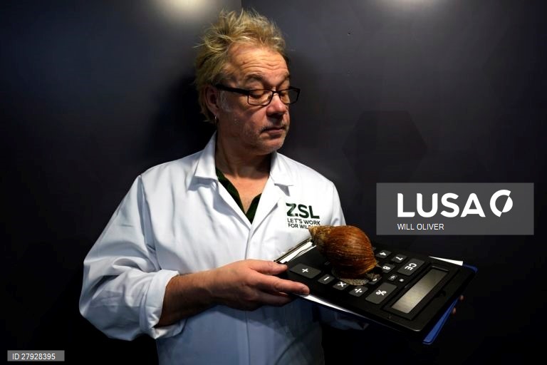 Balanço anual de animais no zoológico de Londres.