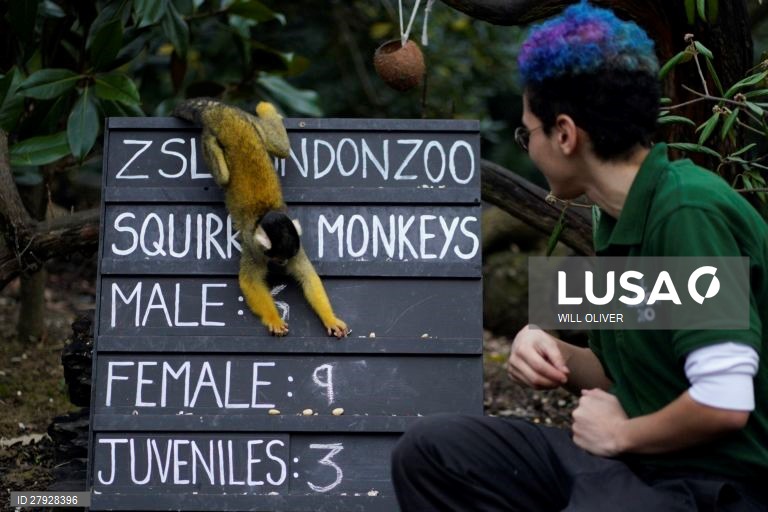 Balanço anual de animais no zoológico de Londres.