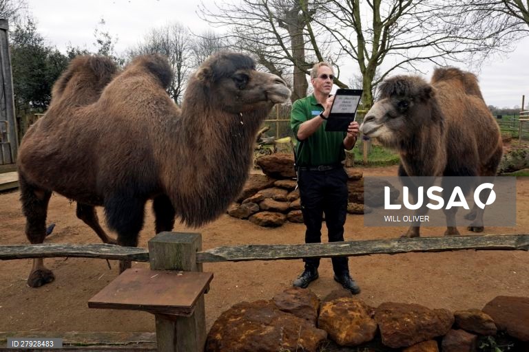 Balanço anual de animais no zoológico de Londres.