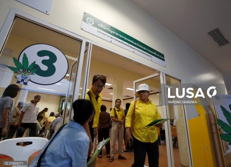 Tailândia: Abertura da primeira clínica de canabis medicinal em Banguecoque