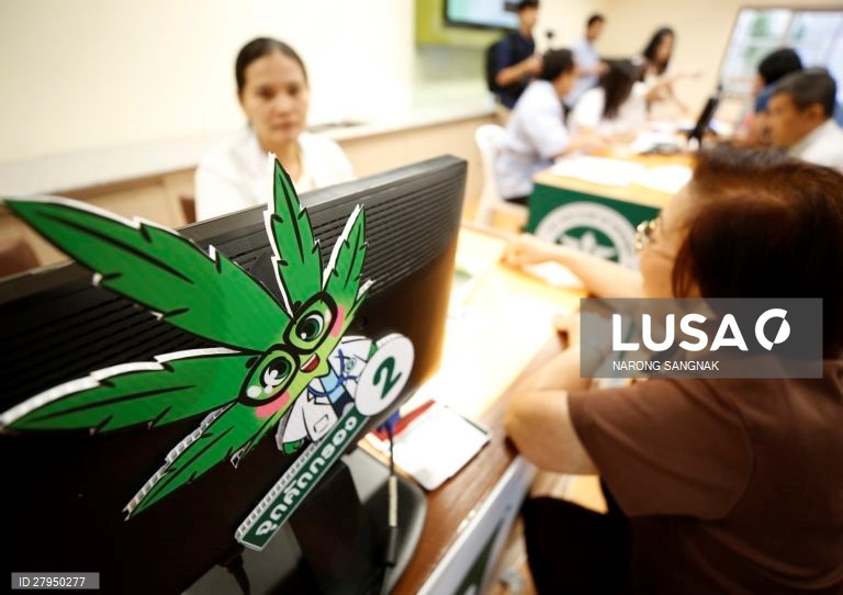 Tailândia: Abertura da primeira clínica de canabis medicinal em Banguecoque