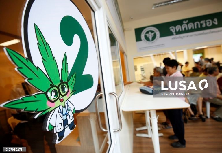 Tailândia: Abertura da primeira clínica de canabis medicinal em Banguecoque