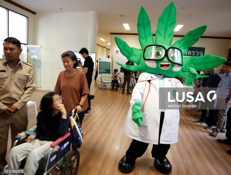 Tailândia: Abertura da primeira clínica de canabis medicinal em Banguecoque