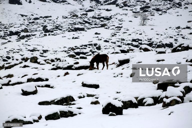 Índia: Inverno na Caxemira 