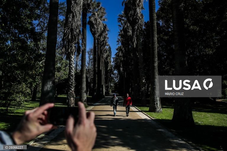Jardim Botânico Tropical reabre com espaços renovados, em Belém, Lisboa.