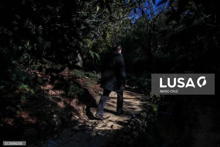 Jardim Botânico Tropical reabre com espaços renovados, em Belém, Lisboa.