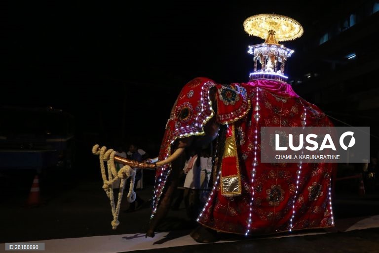 Sri Lanka: Procissão budista em Colombo