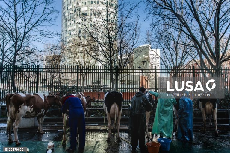 Feira Internacional de Agricultura de Paris 2020
