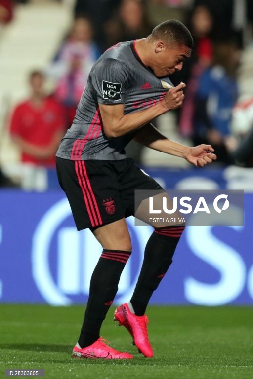 Gil Vicente vs Benfica