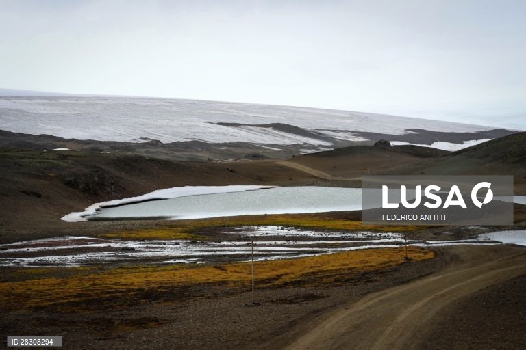 Vida selvagem na Antártida