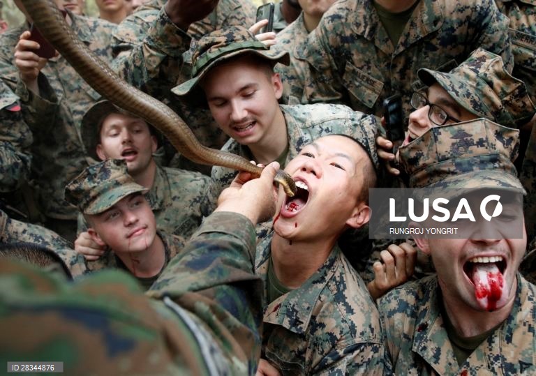 Militares americanos e tailandeses durante um exercício conjunto de sobrevivência na Tailândia.