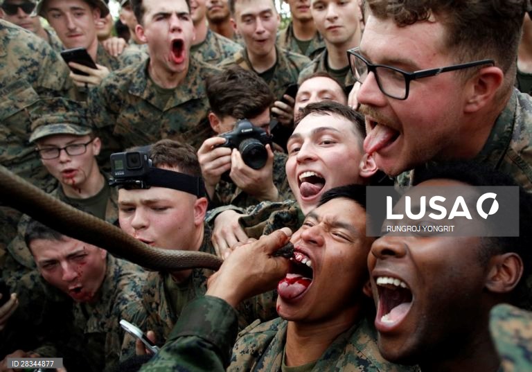 Militares americanos e tailandeses durante um exercício conjunto de sobrevivência na Tailândia.