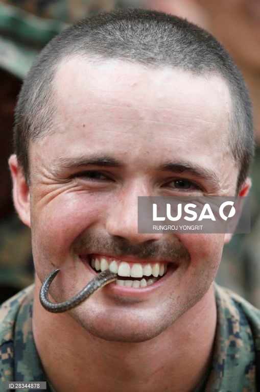 Militares americanos e tailandeses durante um exercício conjunto de sobrevivência na Tailândia.