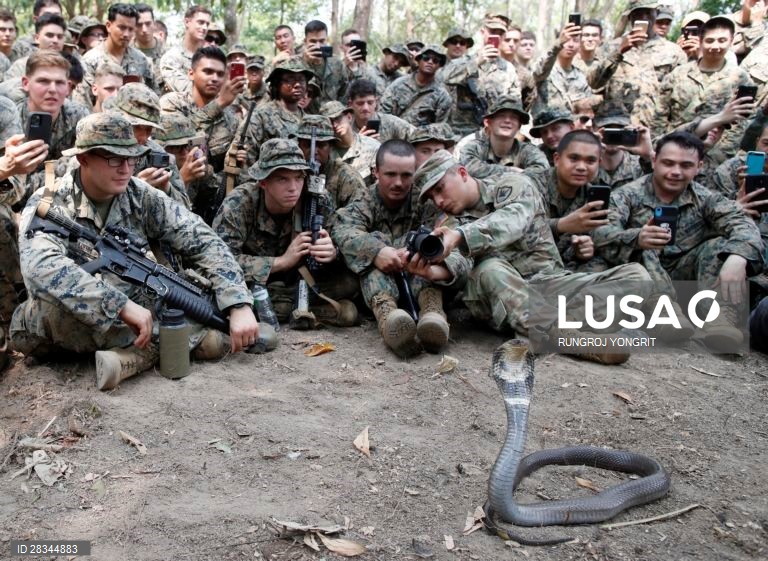 Militares americanos e tailandeses durante um exercício conjunto de sobrevivência na Tailândia.