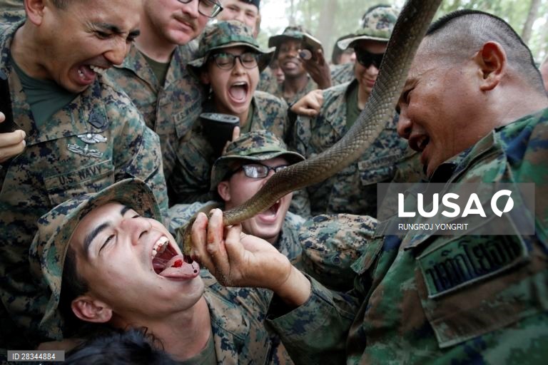 Militares americanos e tailandeses durante um exercício conjunto de sobrevivência na Tailândia.