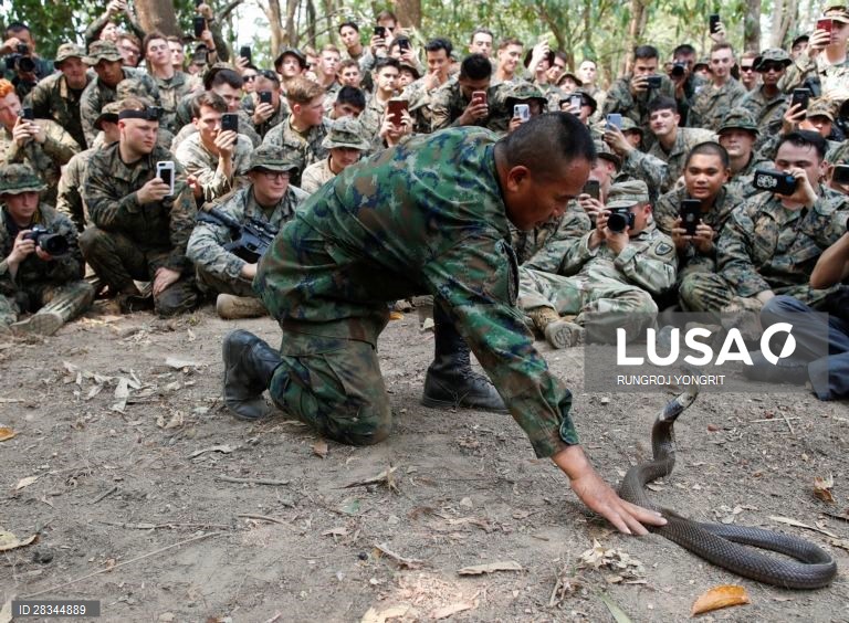 Militares americanos e tailandeses durante um exercício conjunto de sobrevivência na Tailândia.