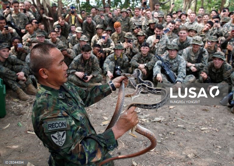 Militares americanos e tailandeses durante um exercício conjunto de sobrevivência na Tailândia.