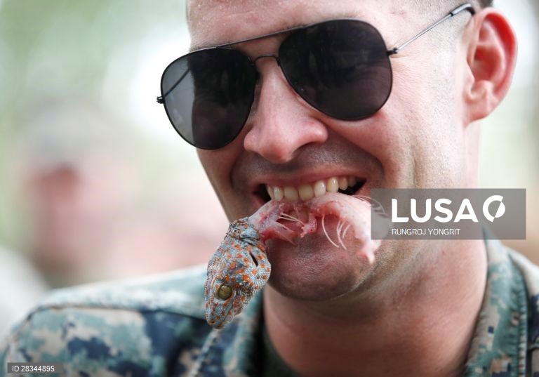 Militares americanos e tailandeses durante um exercício conjunto de sobrevivência na Tailândia.