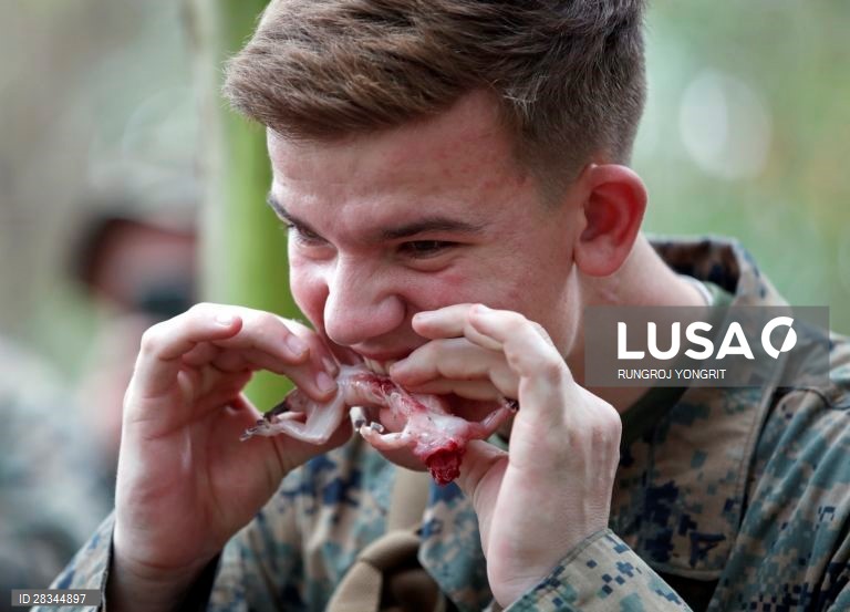 Militares americanos e tailandeses durante um exercício conjunto de sobrevivência na Tailândia.