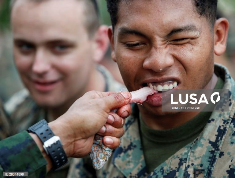 Militares americanos e tailandeses durante um exercício conjunto de sobrevivência na Tailândia.