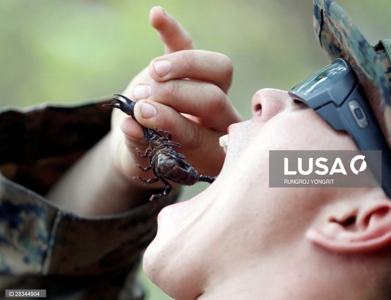 Militares americanos e tailandeses durante um exercício conjunto de sobrevivência na Tailândia.