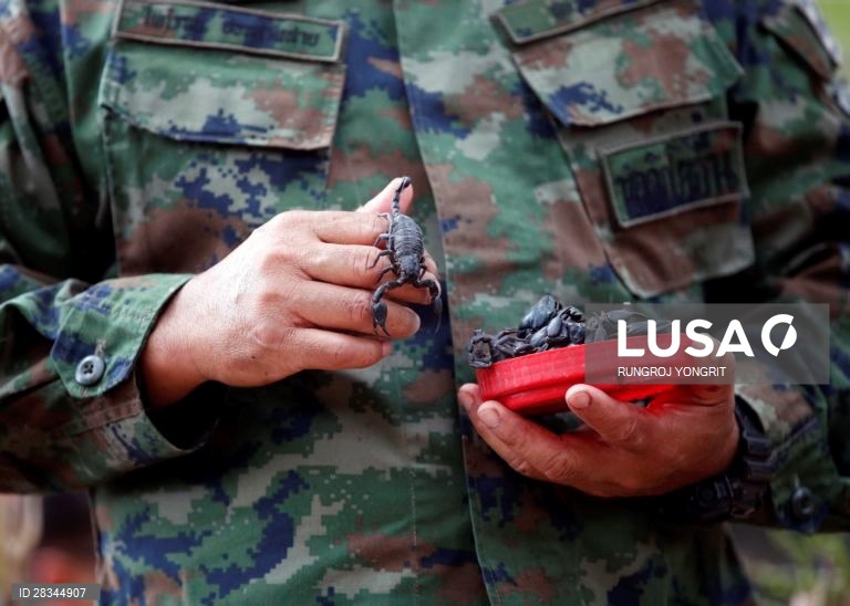 Militares americanos e tailandeses durante um exercício conjunto de sobrevivência na Tailândia.