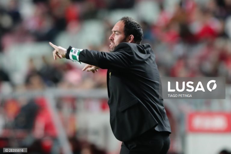 Futebol: SL Benfica vs Moreirense em Lisboa