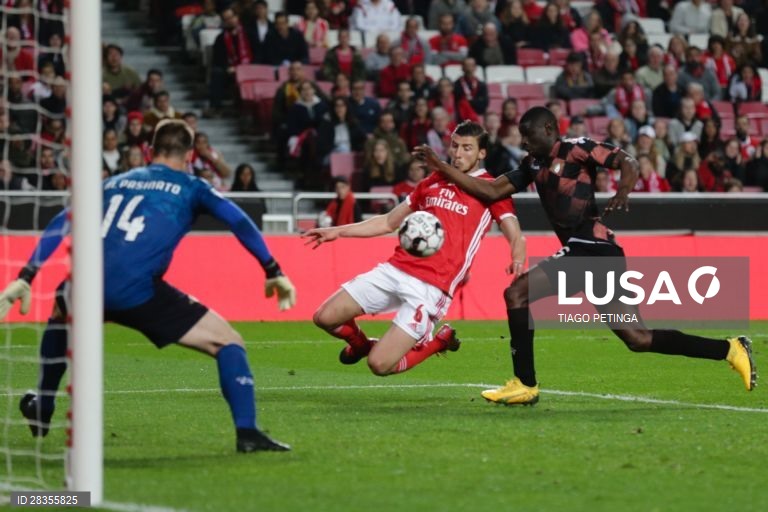 Futebol: SL Benfica vs Moreirense em Lisboa