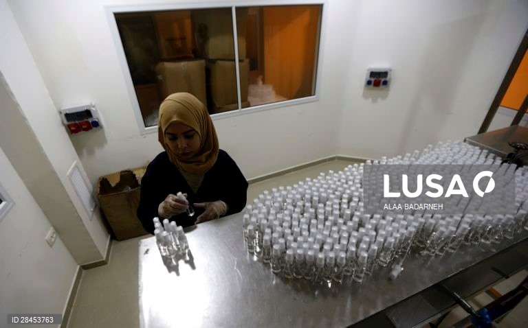 Cisjordânia: Fabrico de desinfetantes em Jenin