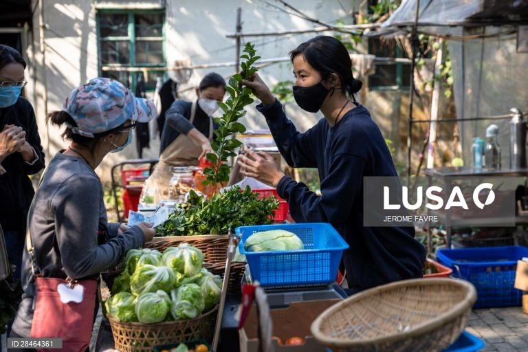 China: Hong Kong opta por consumir produtos frescos locais